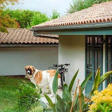 Bed & Breakfast Casaviel Biarritz