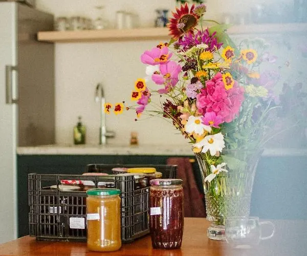 Casaviel Bed and breakfast